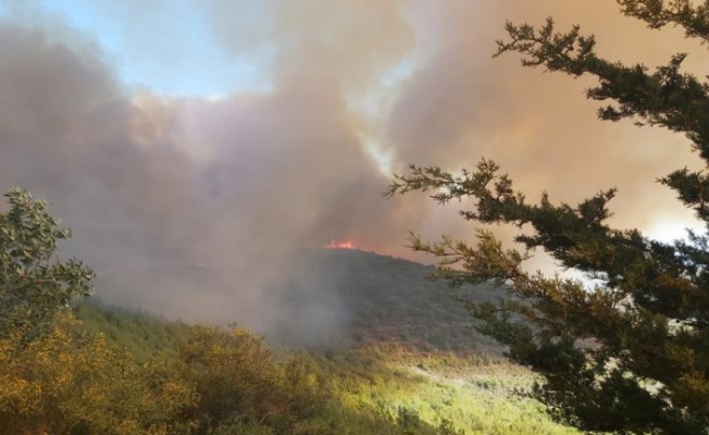 Cumhurbaşkanı Tatar açıkladı: Yangın kontrol altına alındı!