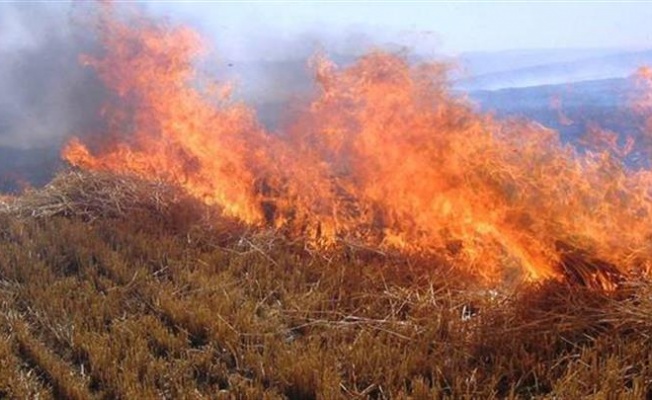 Vadili'de yangın: 160 dönüm anız, 40 dönüm kuru ot yandı