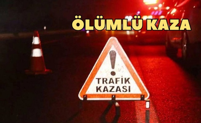 Trafiĝe bir kurban daha