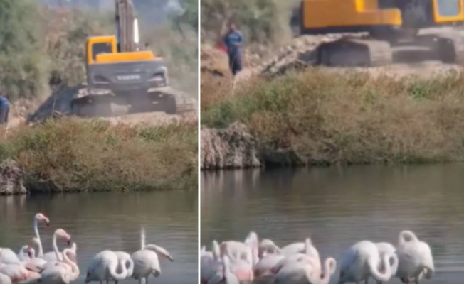 Haspolat'ta doğanın korunması için acil çağrı!