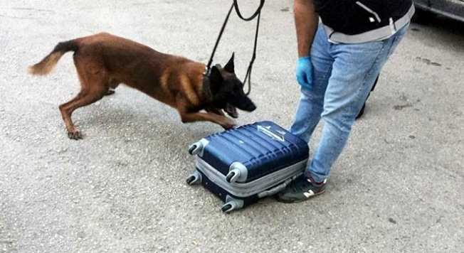 Narko köpek tepki verdi, uyuşturucuyu yakaladı