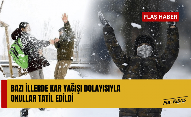 Bazı illerde kar yağışı dolayısıyla okullar tatil edildi