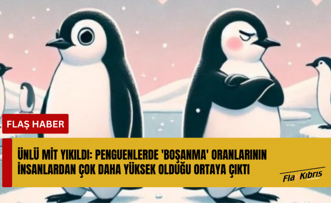 Penguenlerde 'boşanma' oranı insanlardan yüksekmiş