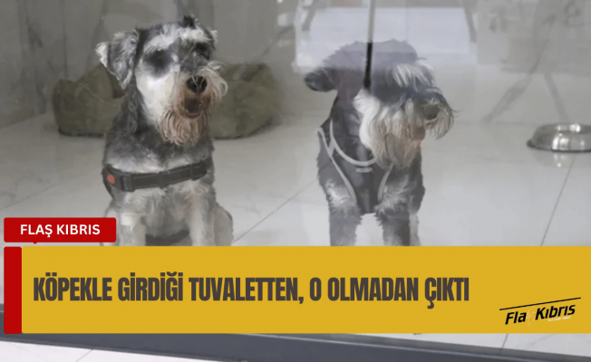 ABD’de uçağa alınmayınca köpeğini öldürdü