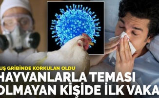 Kuş gribinde korkutan vaka: İlk kez hayvanla teması olmayan bir insanda görüldü