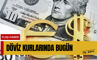 Döviz kurlarında bugün