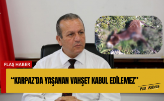 Ataoğlu: Karpaz’da yaşanan vahşet kabul edilemez