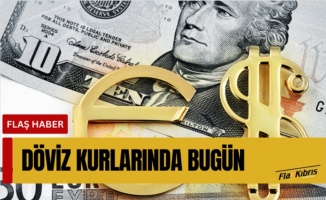 Döviz kurları güne nasıl başladı?