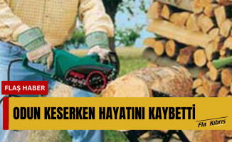 Odun keserken hayatını kaybetti