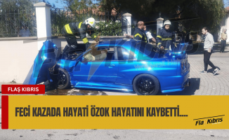 Hayati Özok hayatını kaybetti