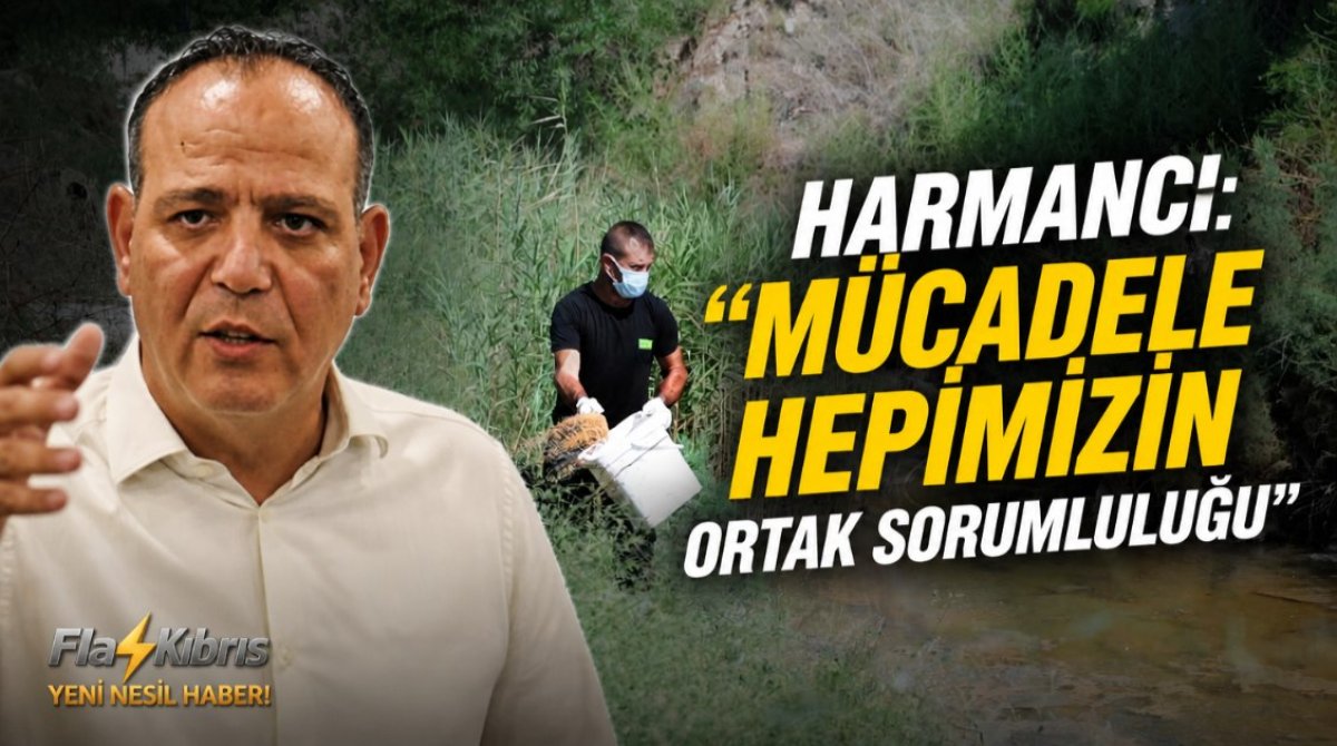 LTB, Batı Nil Virüsü’ne karşı sivrisinek üreme alanlarında mücadeleyi yoğunlaştırdı