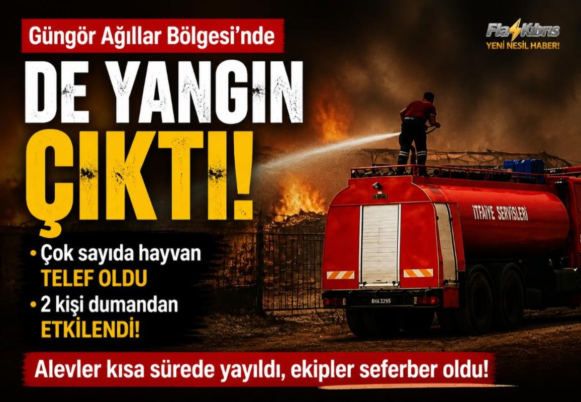 Güngör Ağıllar Bölgesi'nde de yangın çıktı