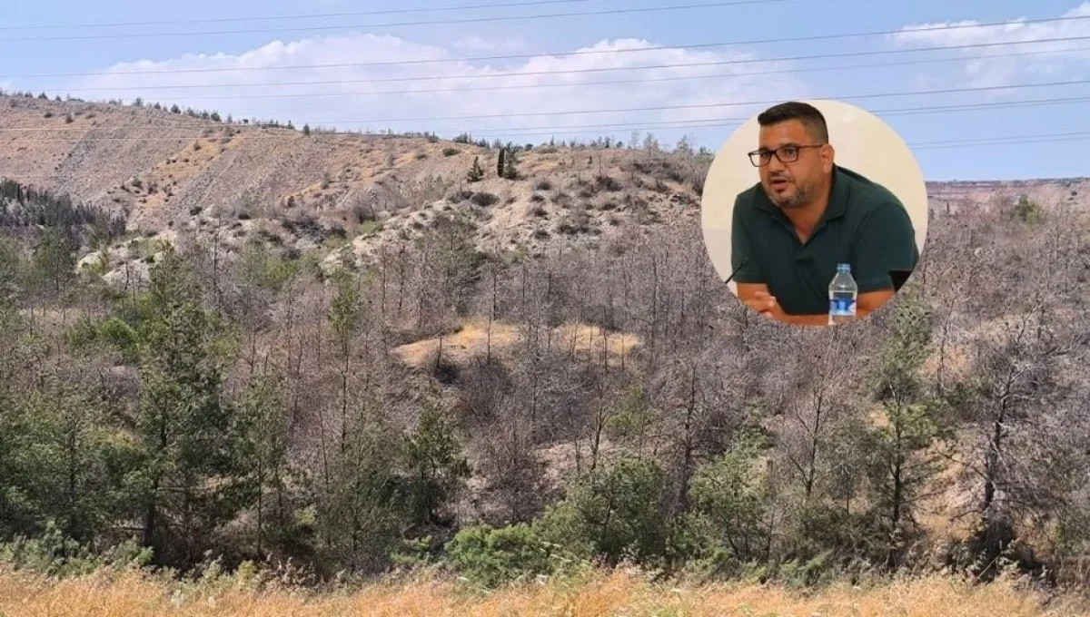 Hasan Sarpten: Dilerim ölen her her bir ağacın vebali bir gün gelir sizi bulur