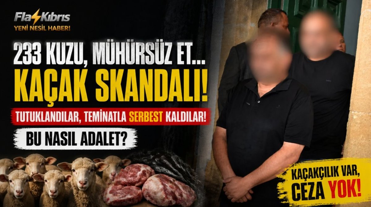 Güney'den kaçak getirilen 233 kuzu ve mühürsüz et ithamıyla tutuklanan 2 zanlı teminatla serbest