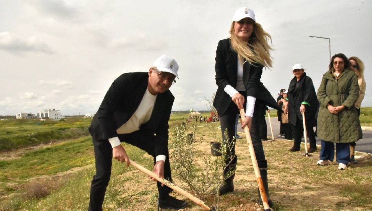 Ülke genelinde 14 bin fidan dikiliyor