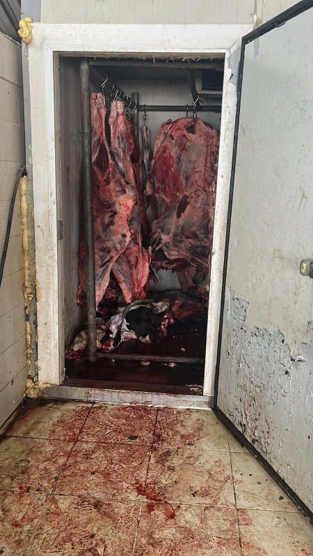 Sağlıksız etlere el konularak imha edildi