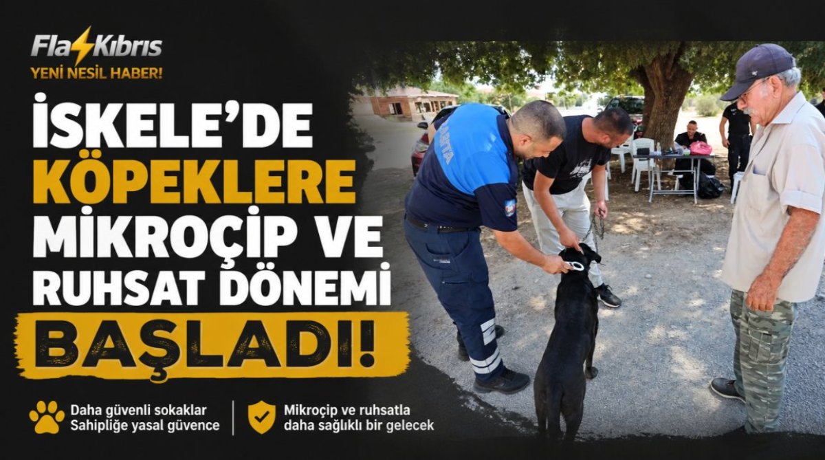 İskele’de köpekler için mikroçip ve ruhsatlandırma işlemleri başladı