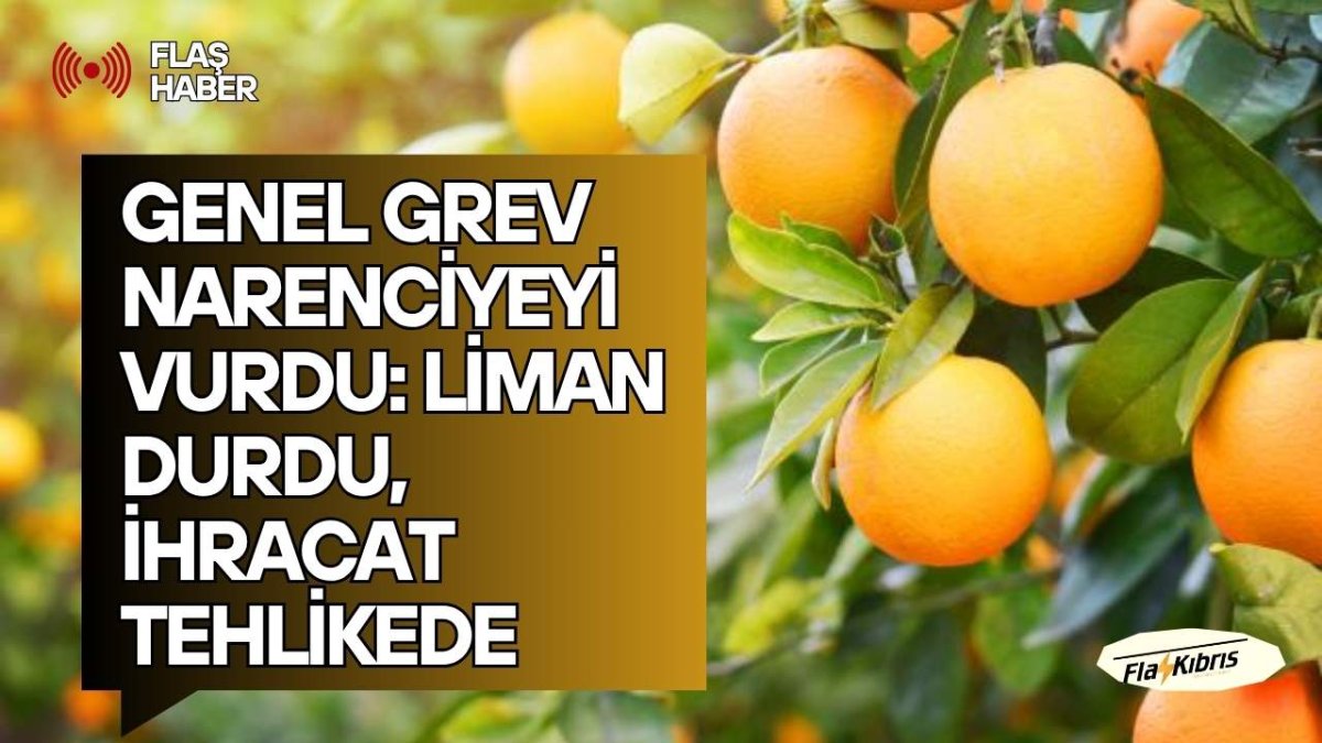 Narenciye İhracatçı Birlikleri: Grev nedeniyle bekletilen ürünler bozulmadan çözüm gerekiyor