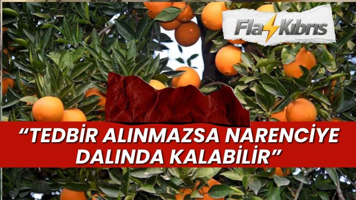 Narenciye Üreticileri uyardı:  Tedbir Şart