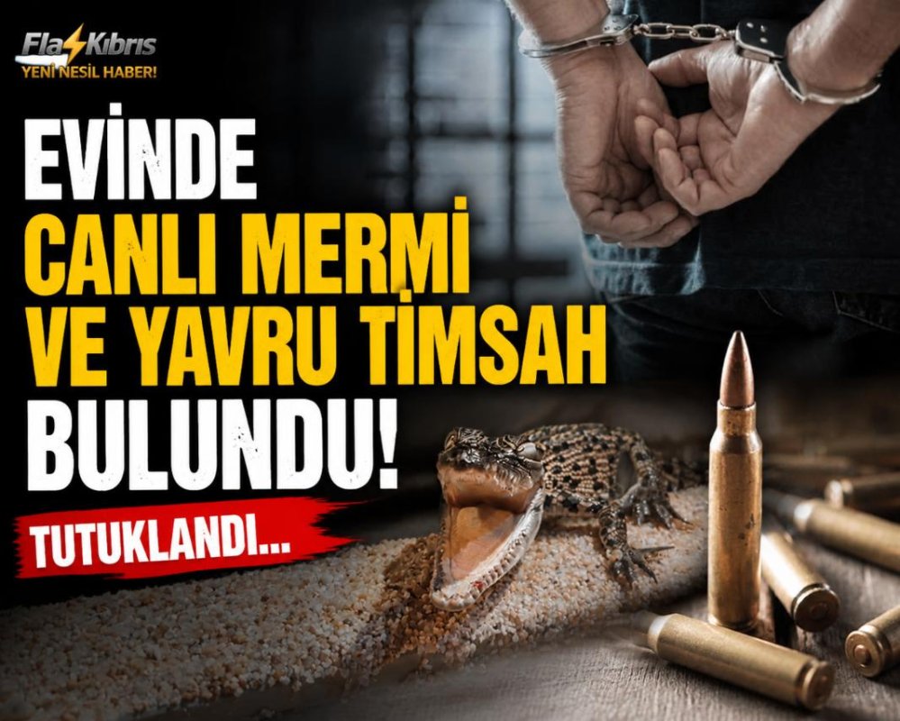 Ozanköy'de Evinde canlı mermi ve yavru timsah bulundu