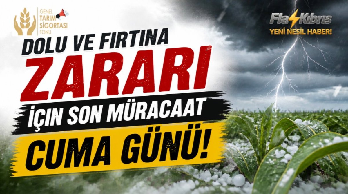 Genel Tarım Sigortası Fonu: Dolu ve fırtına zararı için son müracaat cuma günü