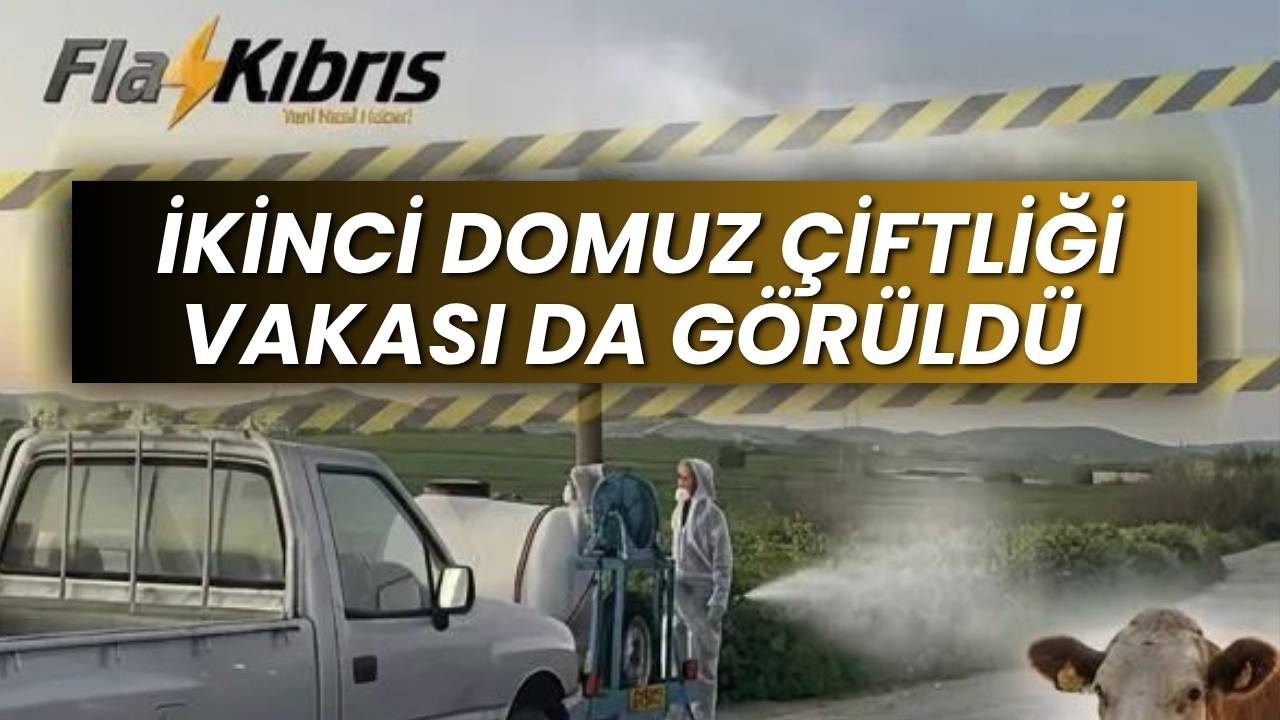 Güney Kıbrıs’ta şap vakası görülen çiftlik sayısı 101’e ulaştı